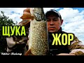 ЖОР ЩУКИ И ОКУНЯ После НЕРЕСТА! Рыбалка на ВЕРТУШКУ!