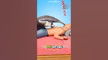 Chuyện gì sẽ sảy ra nếu con thú ăn kiến tưởng nhầm mồm bạn là tổ kiến #shorts #facts