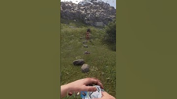 НЕ ДОВЕРЯЙ НИКОМУ В РАСТ #rust #выживание