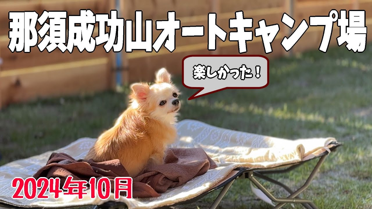 【栃木・那須成功山オートキャンプ場2024】お風呂付！・ステップワゴンキャンパーで行く車中泊の旅  【ペットと泊まれる】