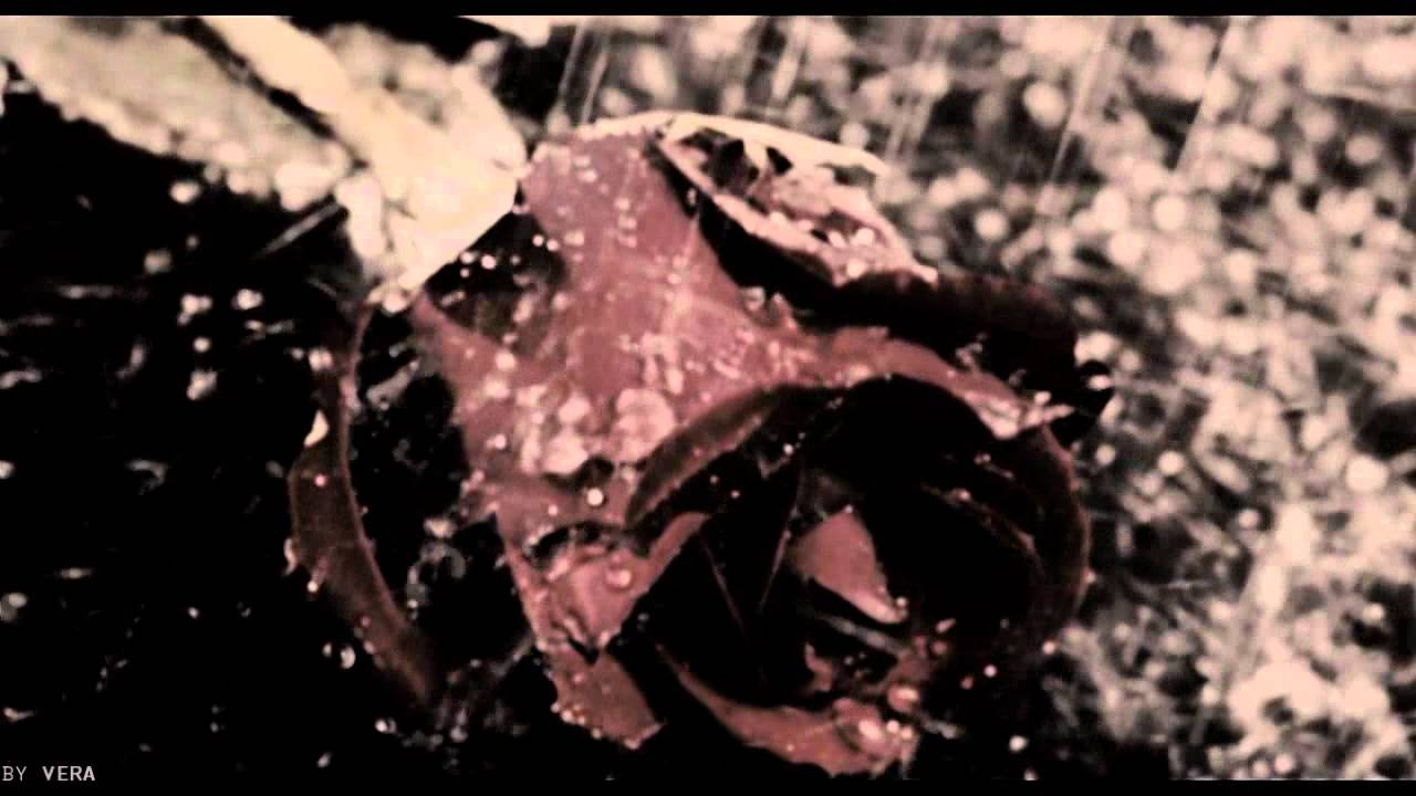 Tate, Violet || Strange love