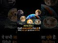 All these animals have been to space 😲 #shorts
