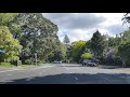 Leafy auckland suburbs  afternoon drive in mount eden 1080p