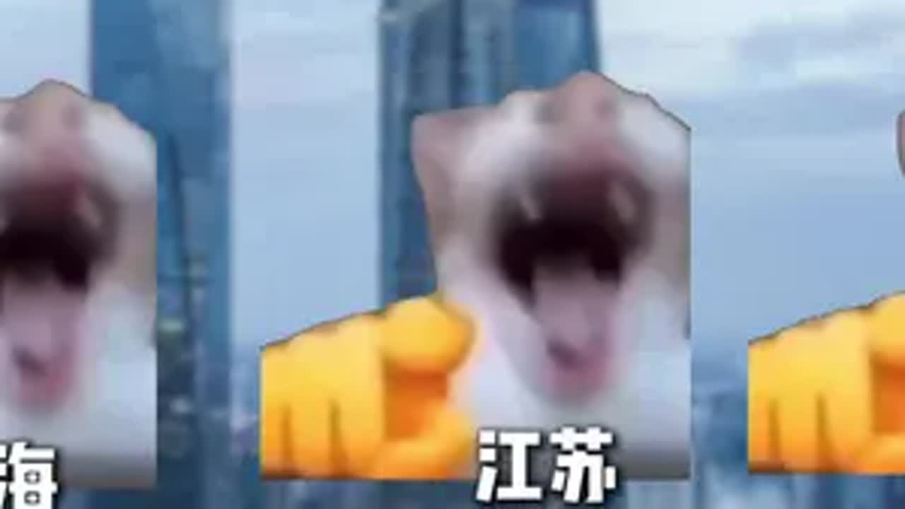不同省份的快递速度猫meme 内容过于真实 快递 搞笑 - YouTube