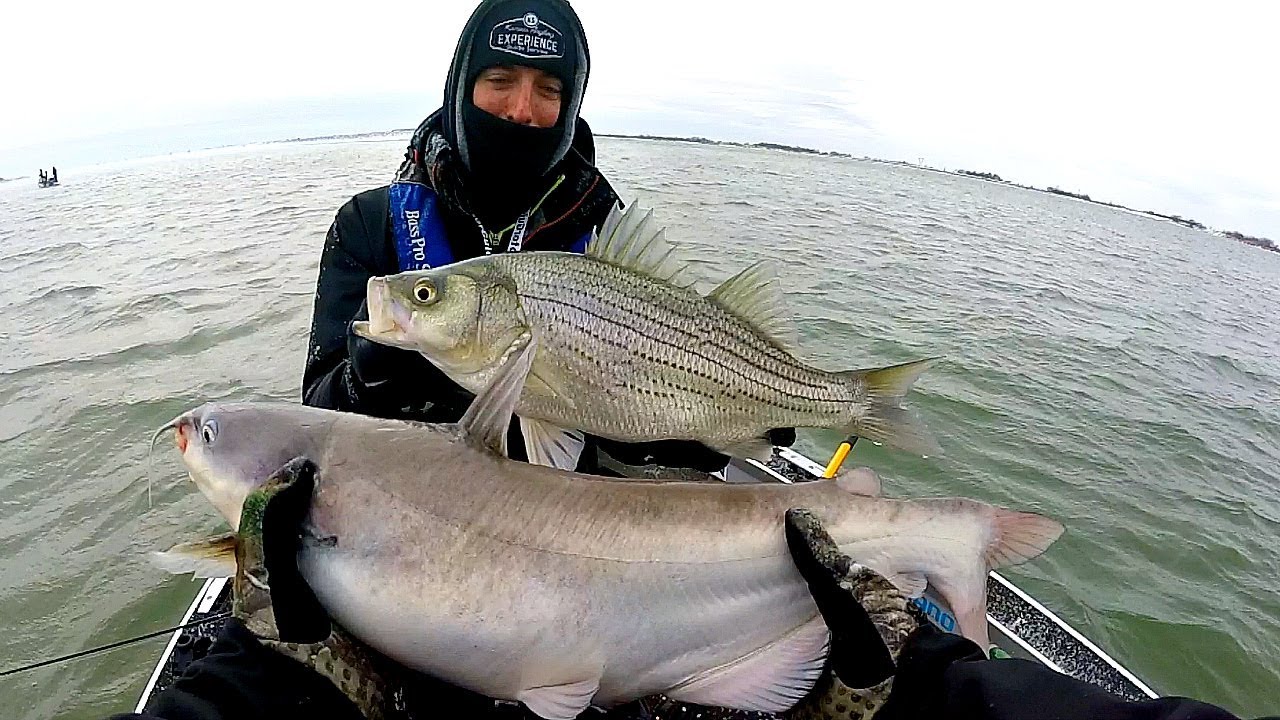 Multi-Species Swimbait CHALLENGE in a Snow Storm!!!