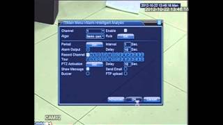 960H Hybrid DVR Intelligent Video Analysis Function(IVS)-Items stranded