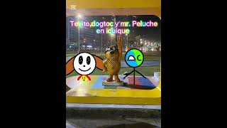 Tevito con dogtoc y mr.peluche