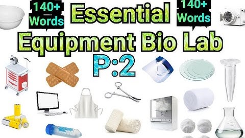 Essential Tools Bio Lab Vocabulary in English with Pictures| P:1| Bio Lab all things word Vocabulary