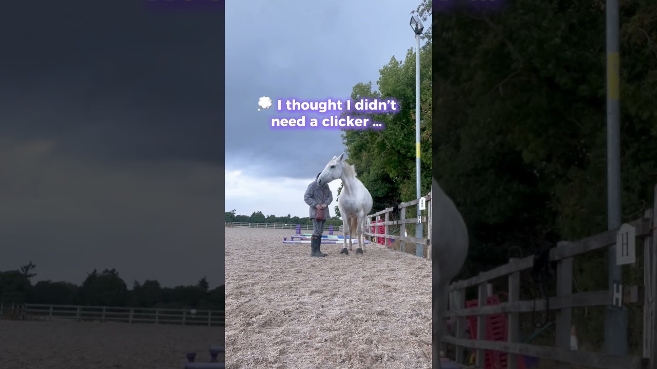 Why Your Horse Will LOVE a Clicker 🐴✨ | Clear, Kind Training That Builds Trust  