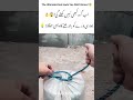 The Ultimate Knot Hack You Didn't Know! 😱 DesiJugaar #LifeHacks #SurvivalTips #KnotTying #ViralHacks
