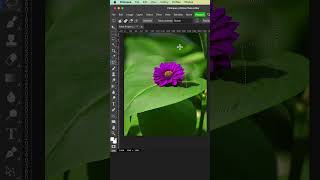 Free AI Magic Replace in Photopea #shorts