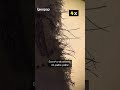 Cos’è? Quasi impossibile da indovinare nei primi secondi #microscopio #scienze #science #experiment