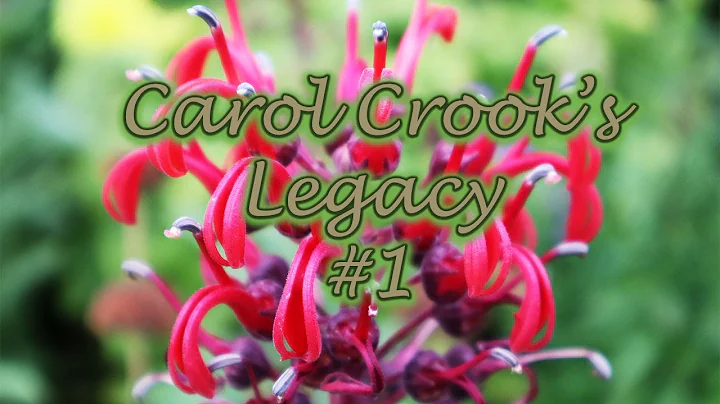 Carol Crook's Legacy #1 - inspirational and wise w...