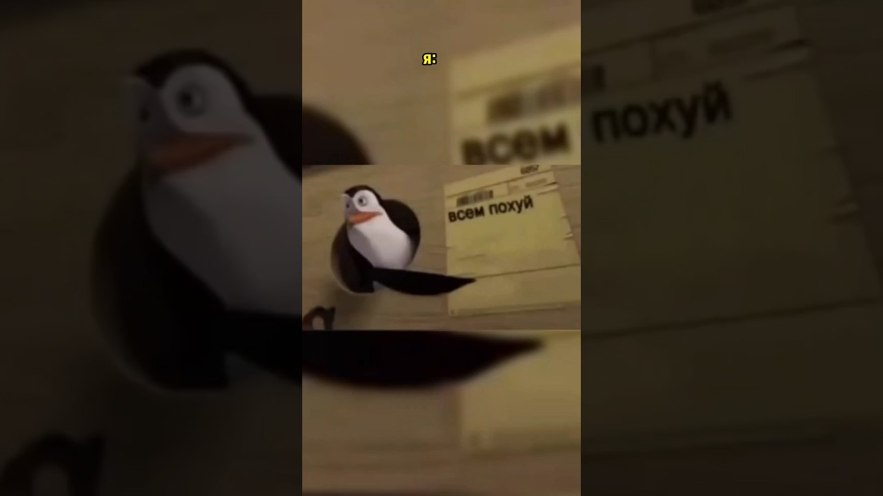 такая жиза хахаха 