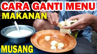 Cara Mengganti Menu Makan Musang