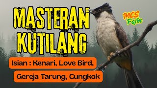 MASTERAN KUTILANG ISIAN KENARI, LOVE BIRD, GEREJA TARUNG, CUNGKOK ‼️