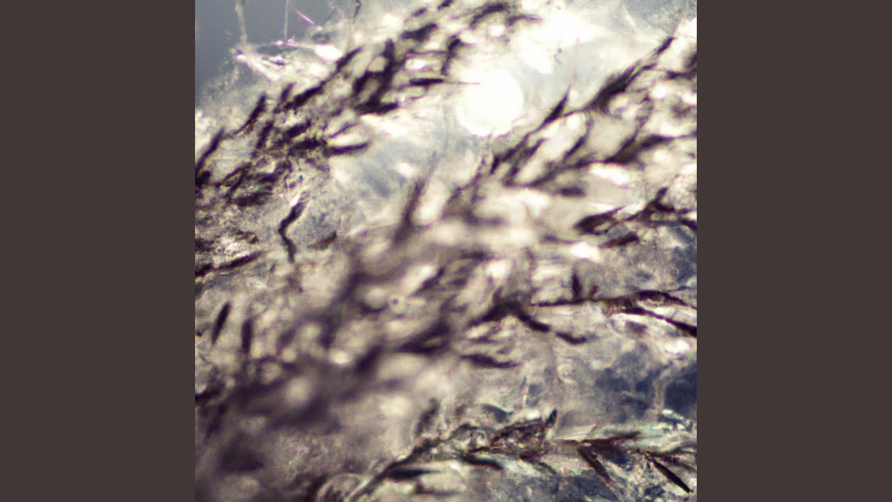 Resonance in the Hidden Grove