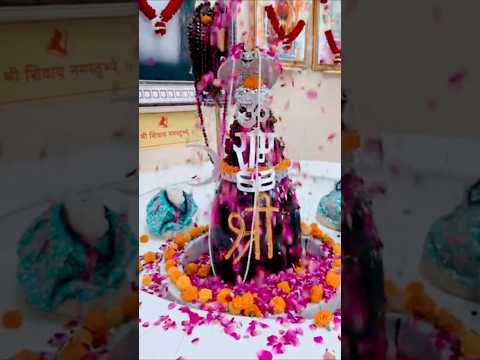 जय द्रोणेश्वर महादेव दर्शन #shortsvideo #videoviral #reels  