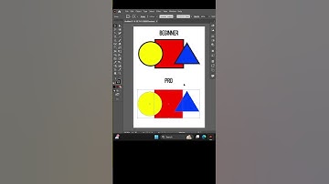 Beginner vs Pro Graphic Designer – What