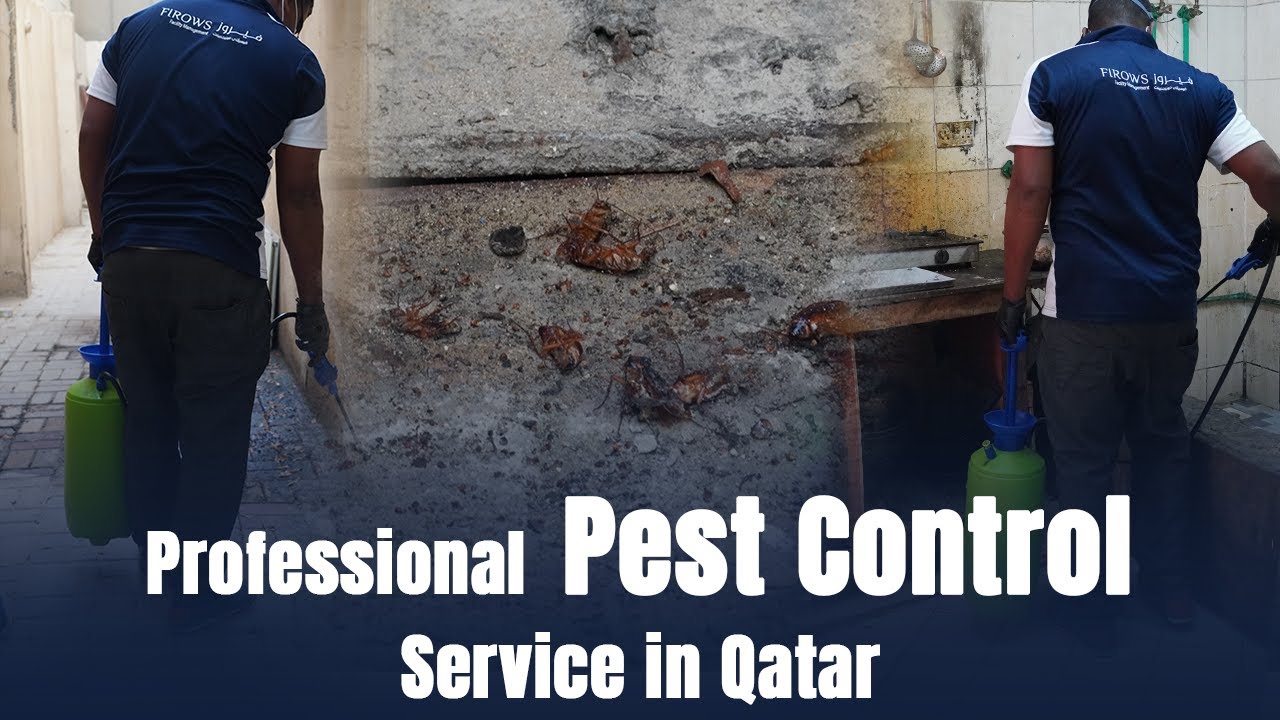 Professional Pest Control Service in Qatar YouTube