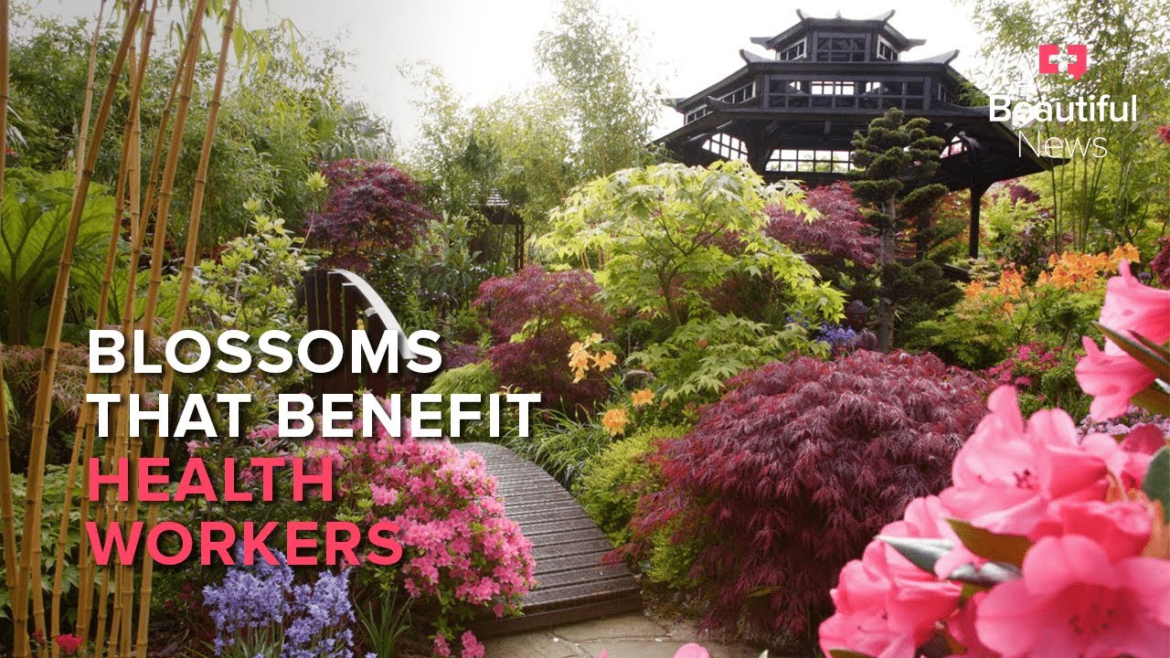 Beautiful News | This couple’s enchanting garden sprouts support for healthcare workers