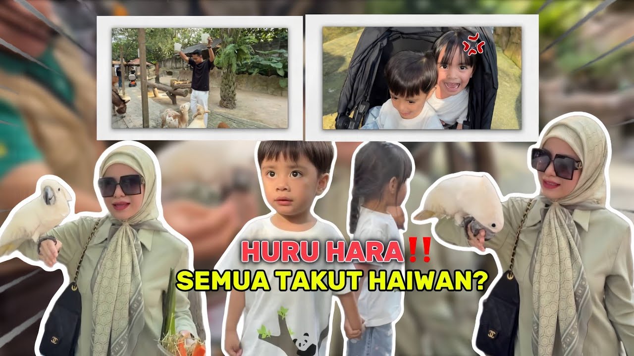 SERAM‼️ALIEFF & ANAK2 KENA SER4NG DENGAN BINATANG ‼️JUMPA HAIWAN MUKA MCM ASLAH ⁉️