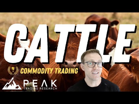 Live Cattle High