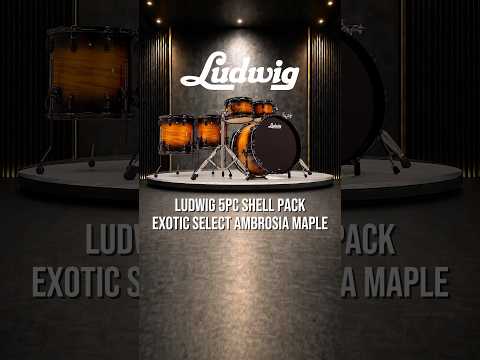 Ludwig Exotic Select Ambrosia Maple 5pc Shell Pack - Gold Burst with Black Hardware