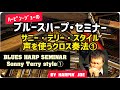 ブルースハープ・レッスン/サニー・テリー・スタイル①~声を使うクロス奏法 (詳細は概要欄) Blues Harp Seminar~Sonny Terry style①