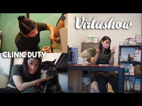 Day in the life of a VETERINARIAN | Arah Virtucio