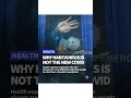Why hantavirus is not the new Covid