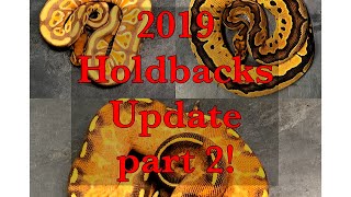2019 holdback updates part 2! Vlog 37