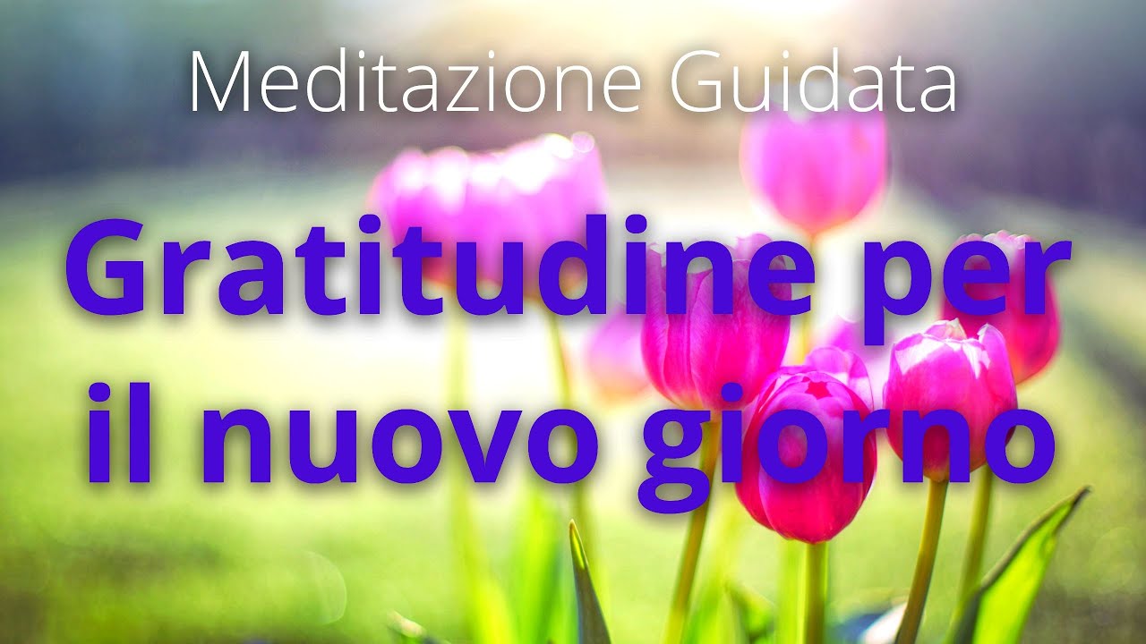 Meditazione Mattutina Guidata Gratitudine per il Nuovo Giorno. - YouTube