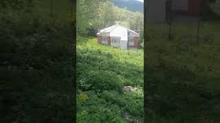 UZUNVELİ KÖYÜ #agri #halay #kürtçe #kurdi  #duet #hozandiyar