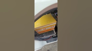 Tân sinh viên về Học Viện Cá Rồng Kho Cá Rồng bình dương #fishing #arowana #carong #arowanatank