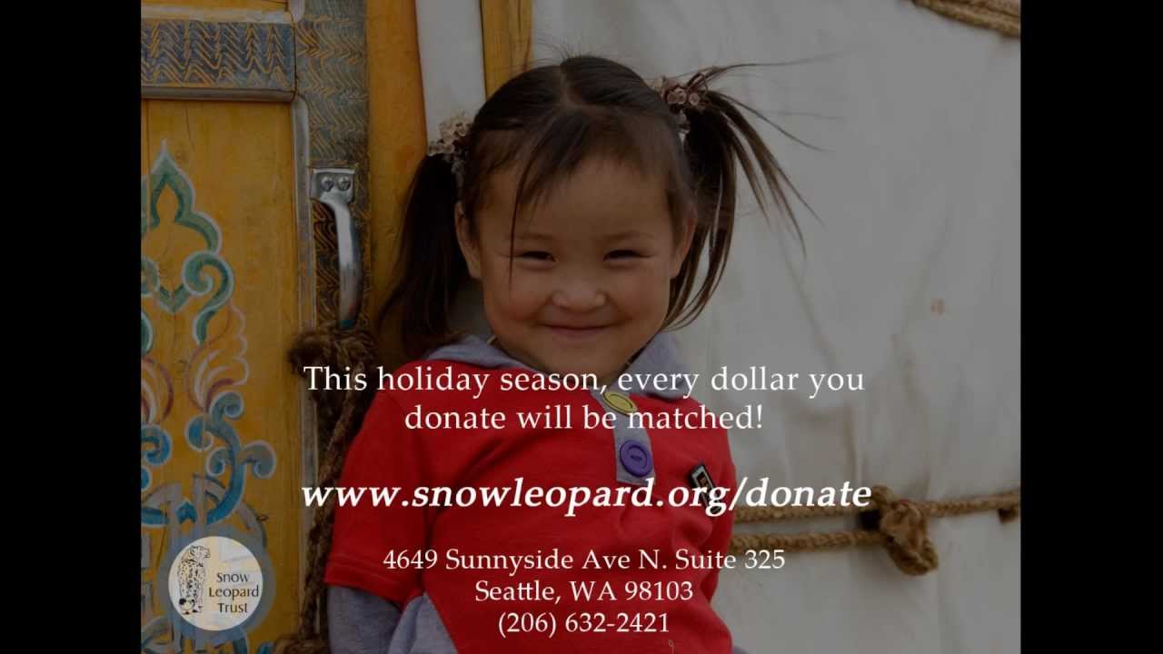 Snow Leopard Families *Holiday Edition*