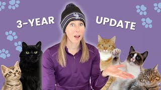Let's chat about Meowtel cat sitting: What I've earned, learned & experienced