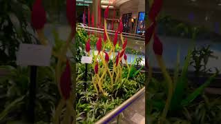 Glass Sculptures - Borgata Hotel - Atlantic City