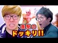 【大発狂】ヒカキンさんからよっちへ失神寸前の進撃のどっきり！【進撃の巨人】