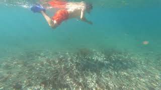 Gh011212 Swingoverfishes  Caya Santa Maria Cuba