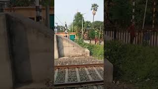 TRAIN DRIVING VIEW #viralvideo #lifestyle #forest #trendingshorts