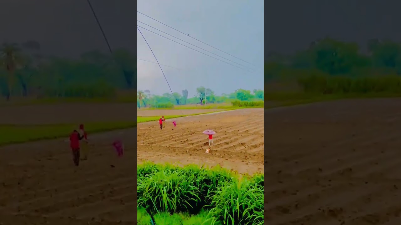 farmer life in village👳🌱⛈️