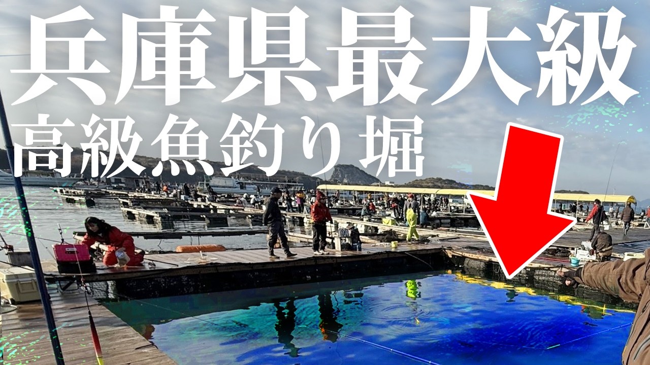 【兵庫県最大級】高級魚だらけの釣り堀「水宝」で釣れる魚がヤバすぎた。