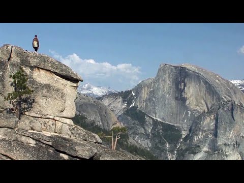 Vidéo: Un Photographe A Photographié La Proposition De Ce Couple Dans Le Parc National De Yosemite