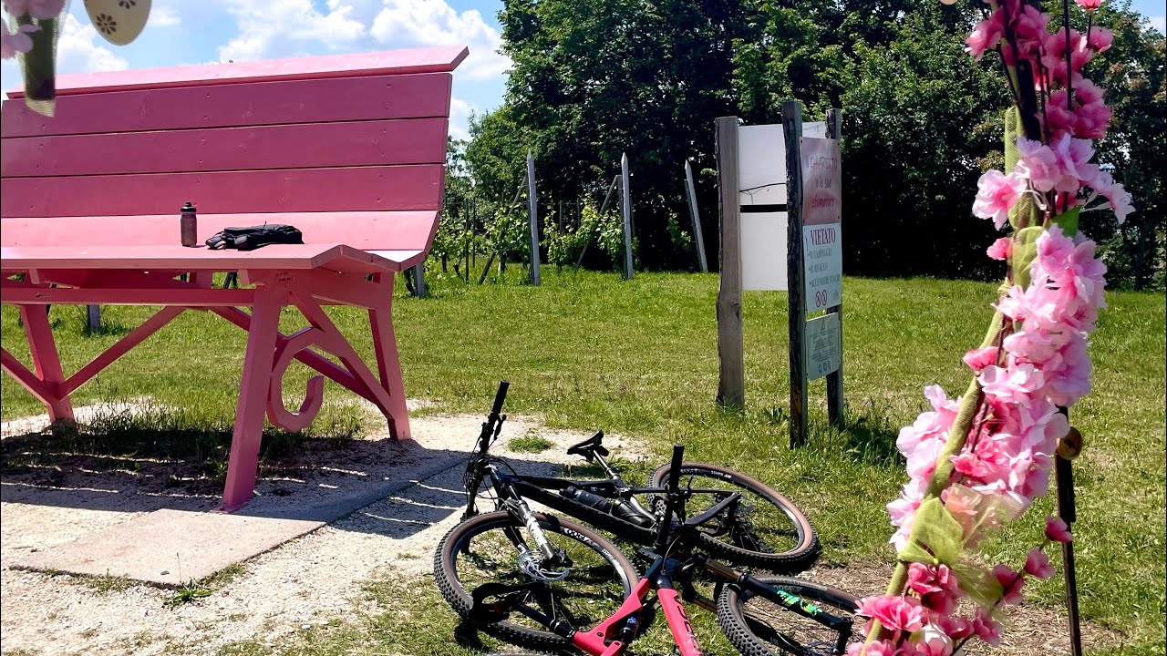 Valtenesi e Big Bench  del chiaretto mountain bike trail