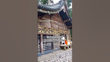 The Three Wise Monkeys 🙈🙉🙊 #shorts