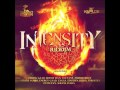 DJ FRESH - INTENSITY RIDDIM MIX (CHIMNEY RECORDS) NOV 2011.