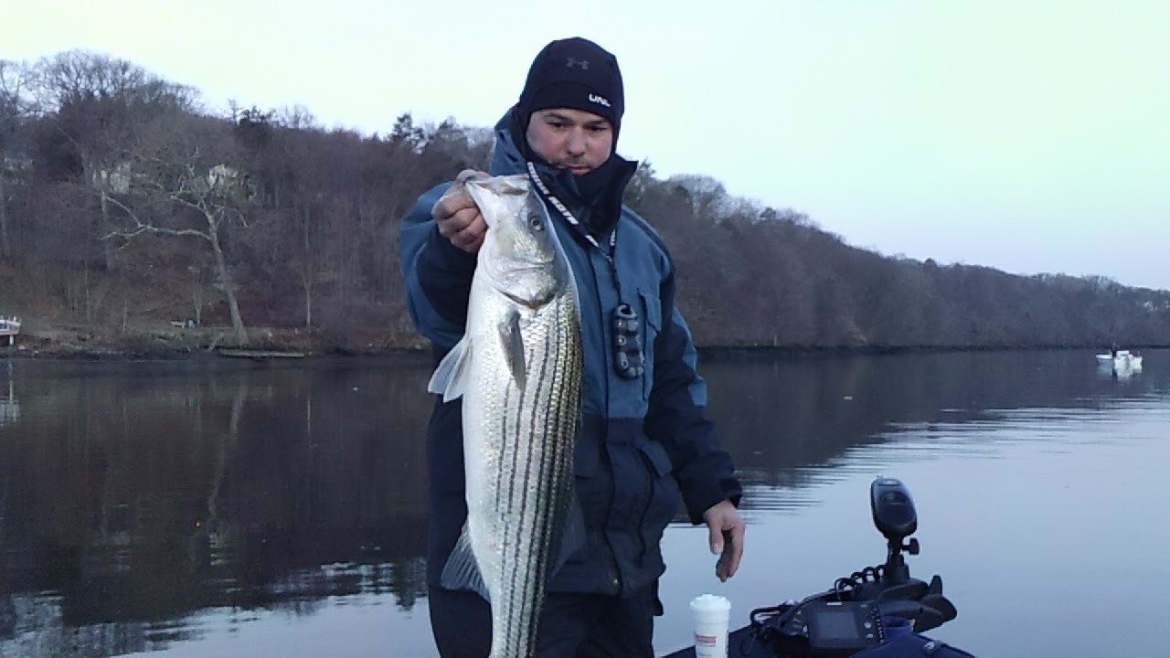 Housatonic stripers, 33013 YouTube
