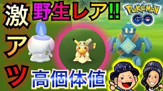 【ポケモンGO】野生&タスクで高個体値レア獲得!激アツのハロウィン!【ヒトモシ】