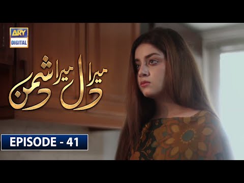 Mera Dil Mera Dushman — Episode 41